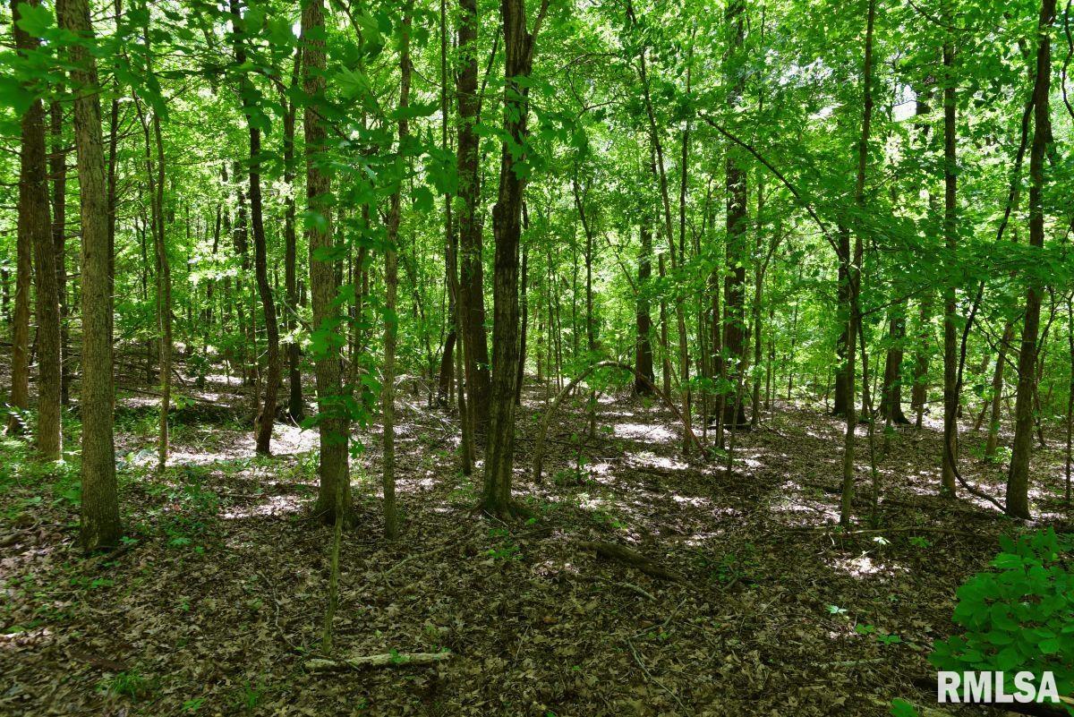 000 Battleford Road, Stonefort, Illinois image 12