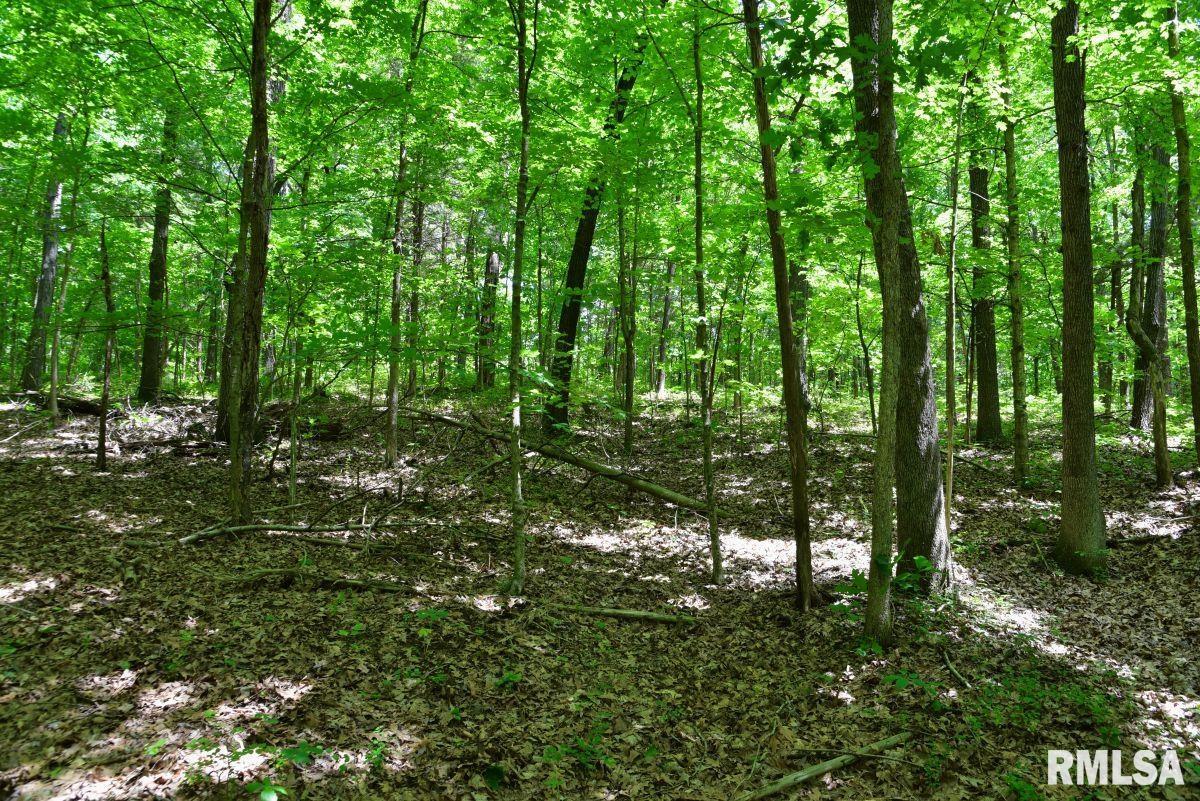 000 Battleford Road, Stonefort, Illinois image 19