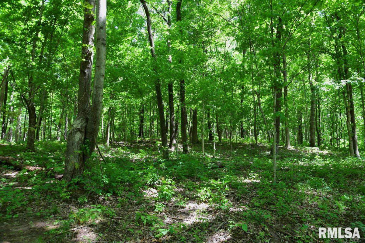 000 Battleford Road, Stonefort, Illinois image 14