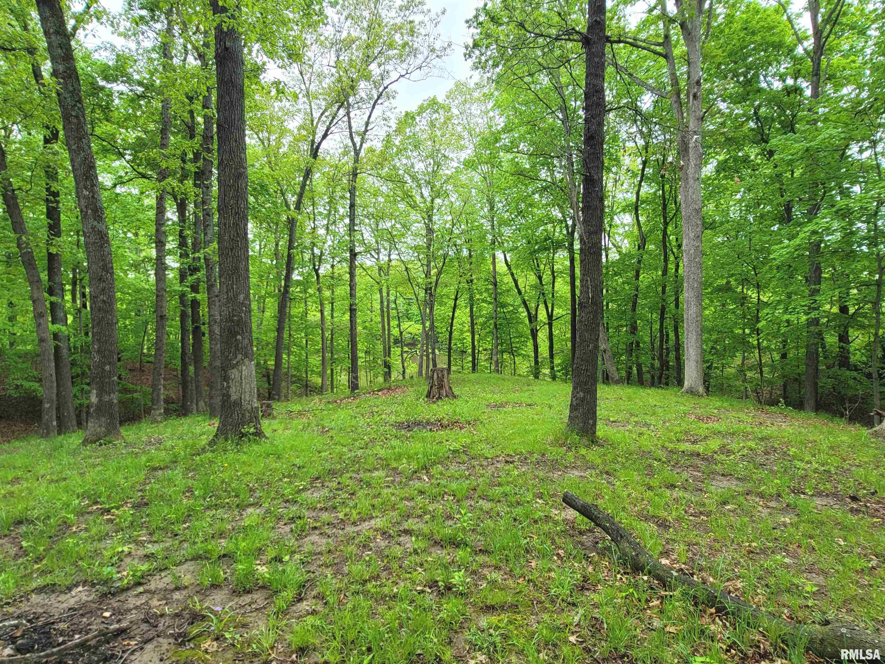 20237 Dogwood Place, Dix, Illinois image 13