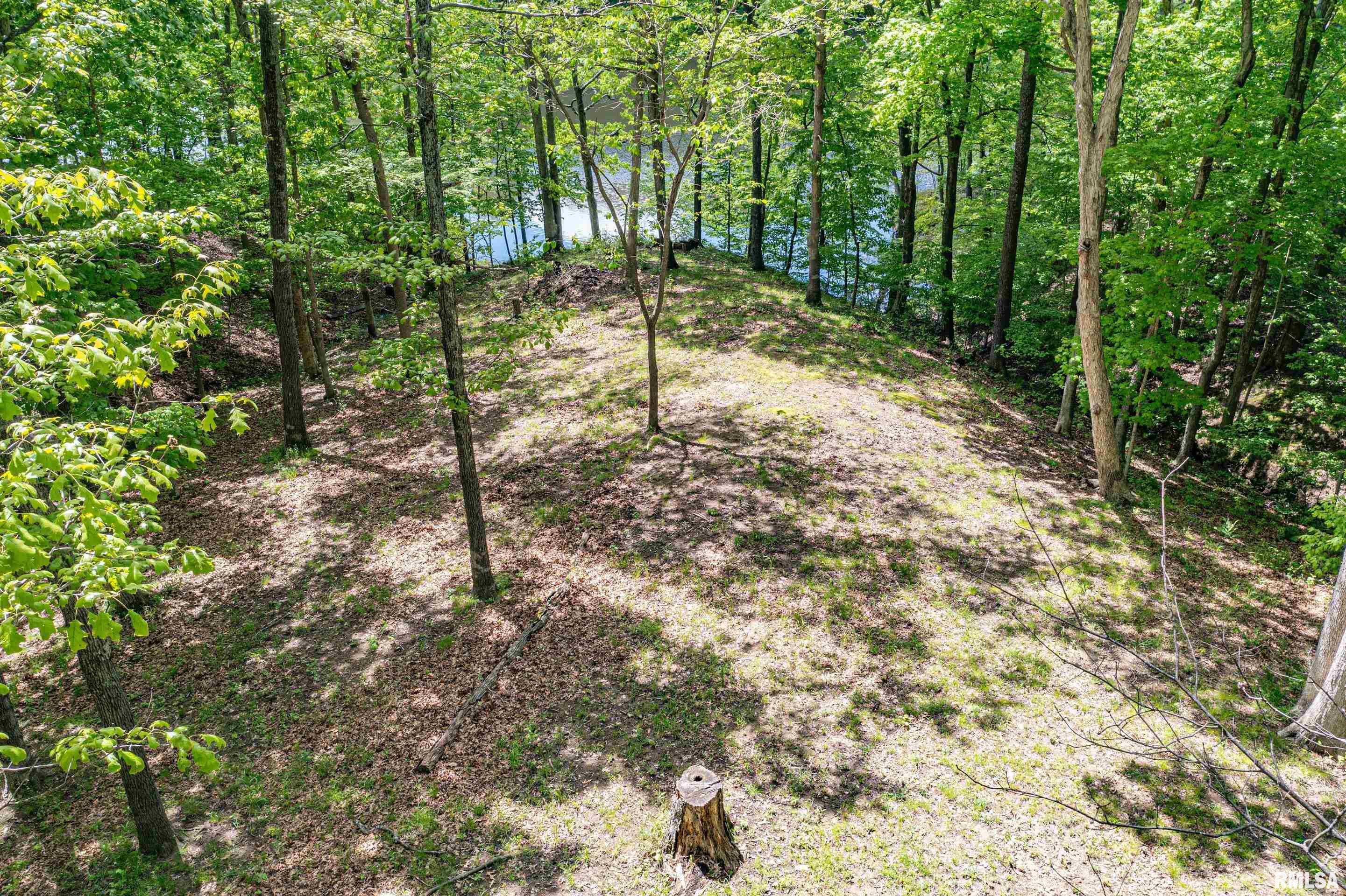 20237 Dogwood Place, Dix, Illinois image 17