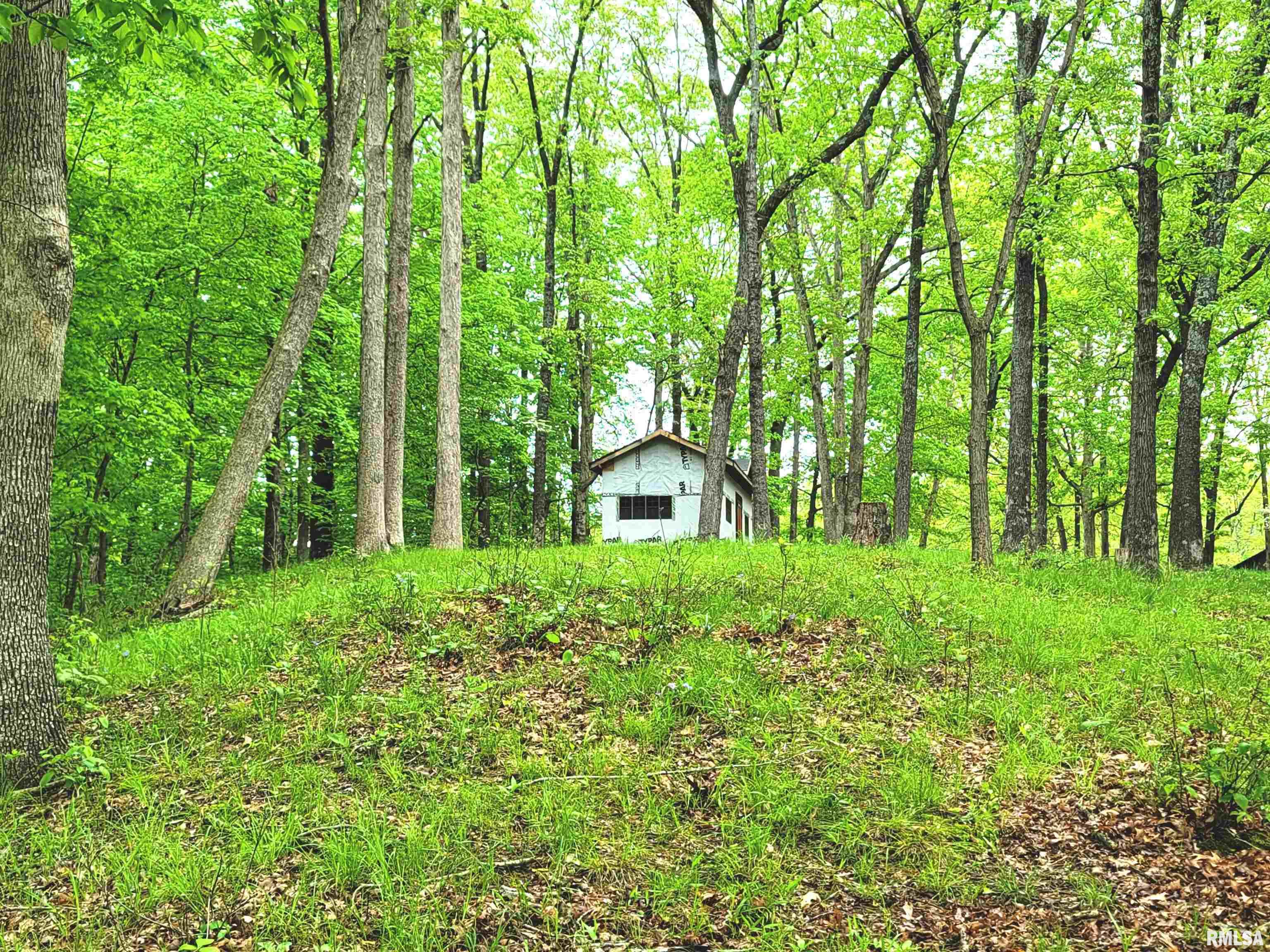 20237 Dogwood Place, Dix, Illinois image 10