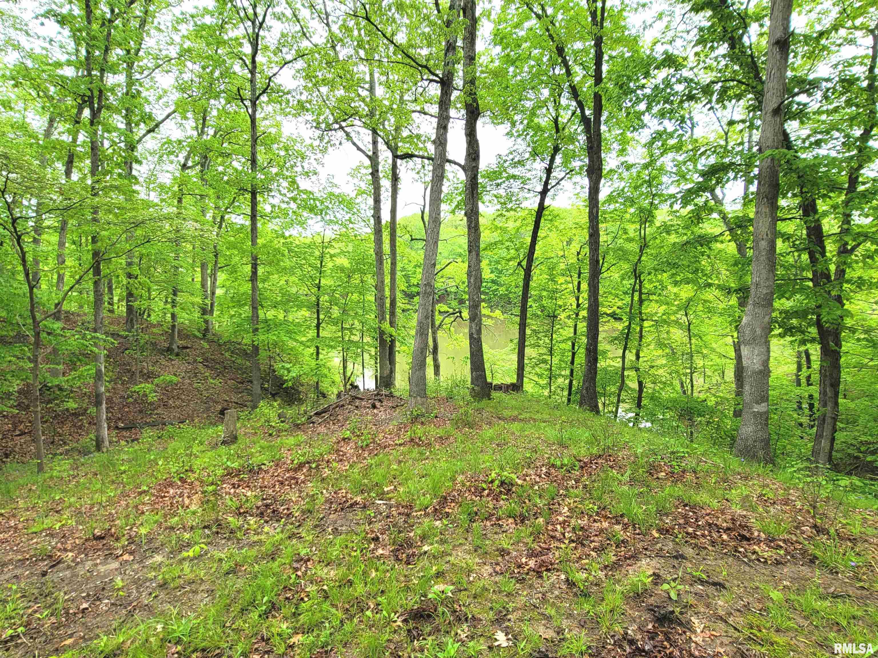 20237 Dogwood Place, Dix, Illinois image 11