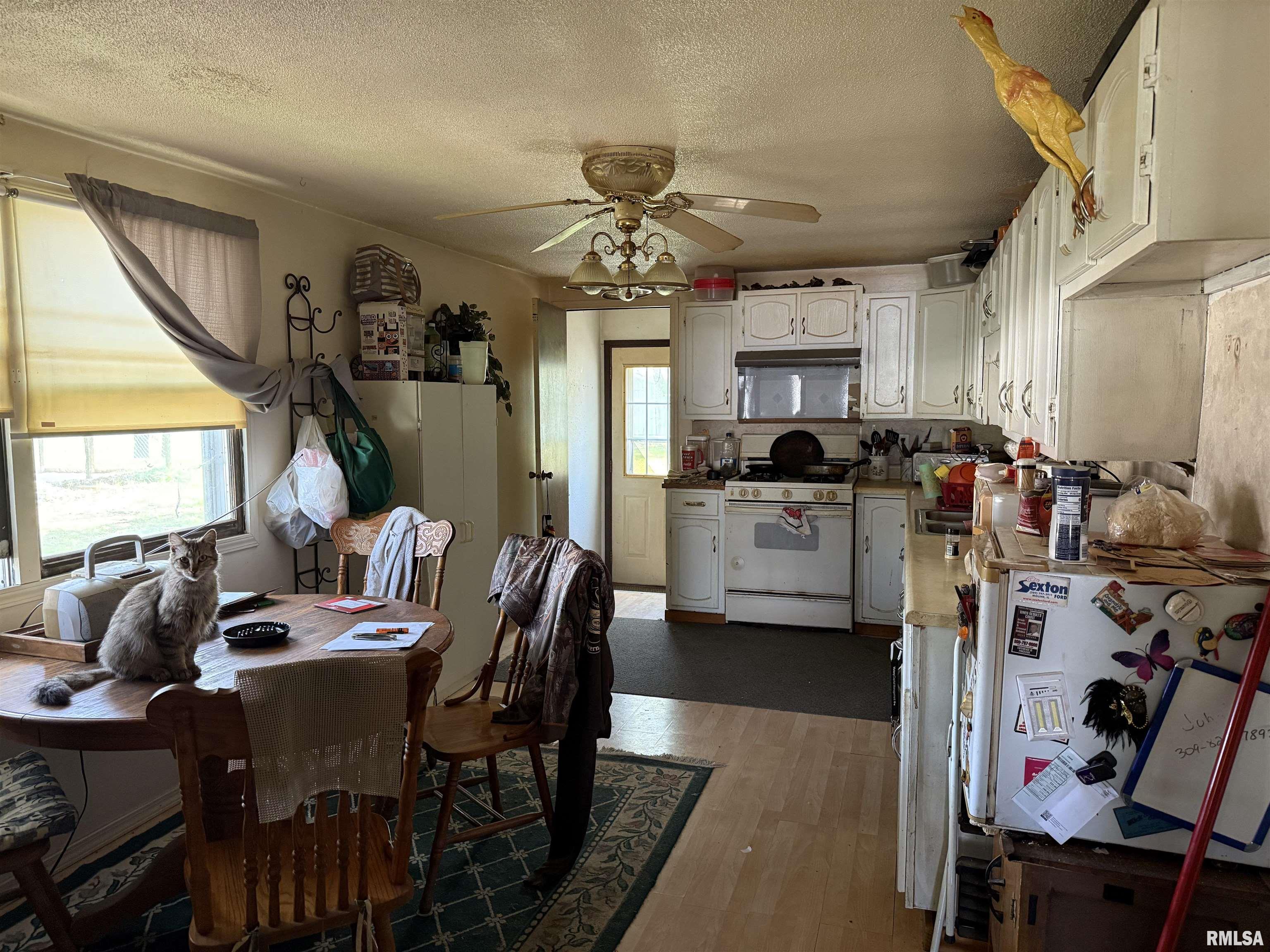 409 & 411 1st Street, Matherville, Illinois image 5