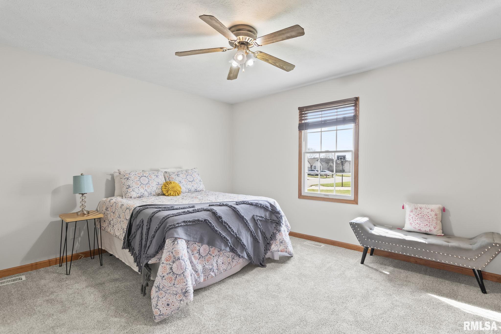 228 Brookside Glen Drive, Sherman, Illinois image 13
