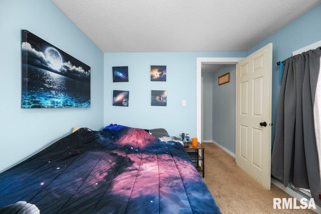 128 S Oakwood Avenue, Geneseo, Illinois image 18