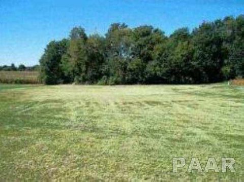 Vacant Land For Sale - LOT 15 Eagle Drive<br/> Lacon, IL 61540