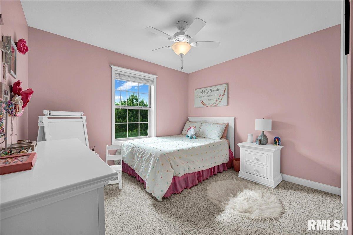 443 Garnet Drive, Morton, Illinois image 21