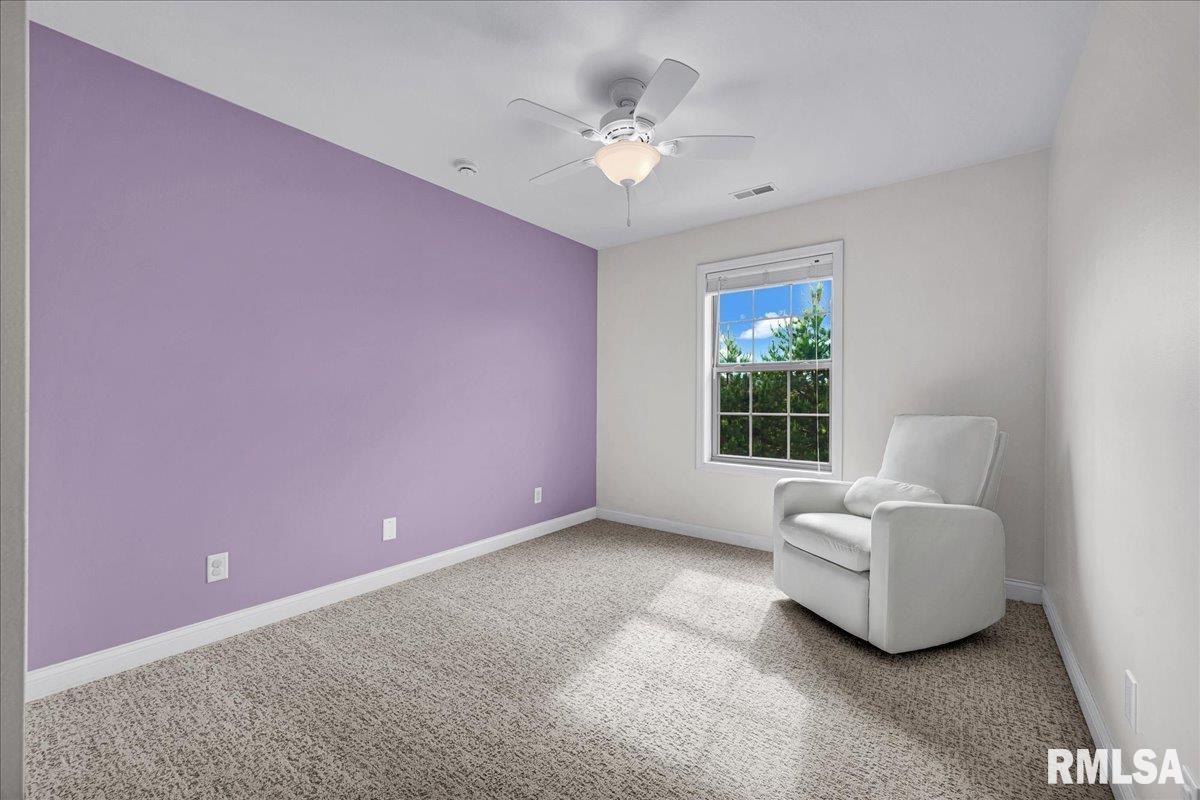 443 Garnet Drive, Morton, Illinois image 22