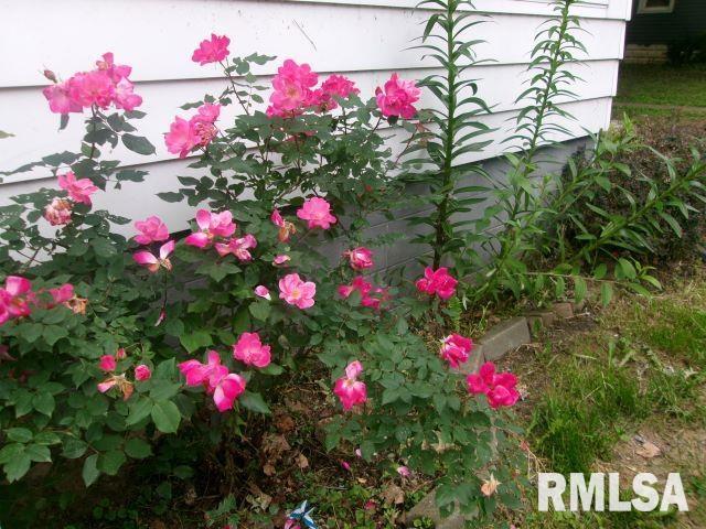 129 Pierson Street, East Peoria, Illinois image 7