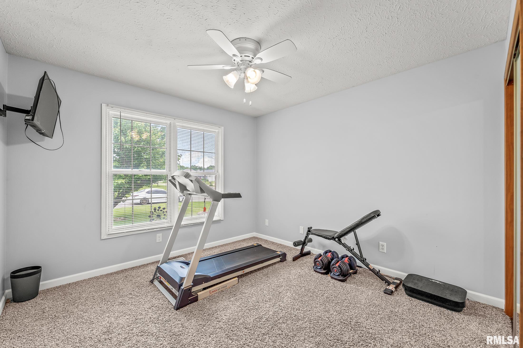 419 Brookside Glen Drive, Sherman, Illinois image 31
