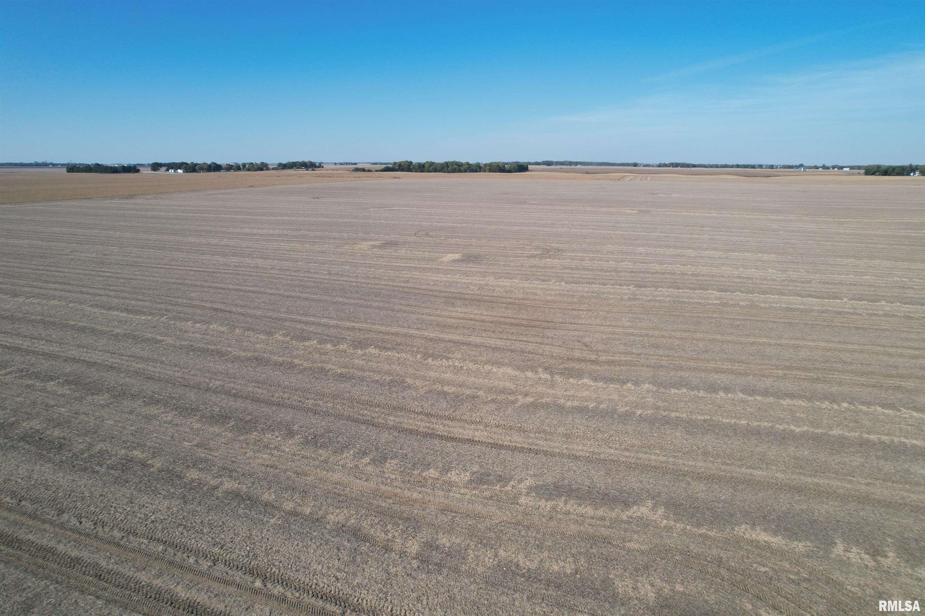 Old Homestead Road, Pleasant Plains, Illinois image 4