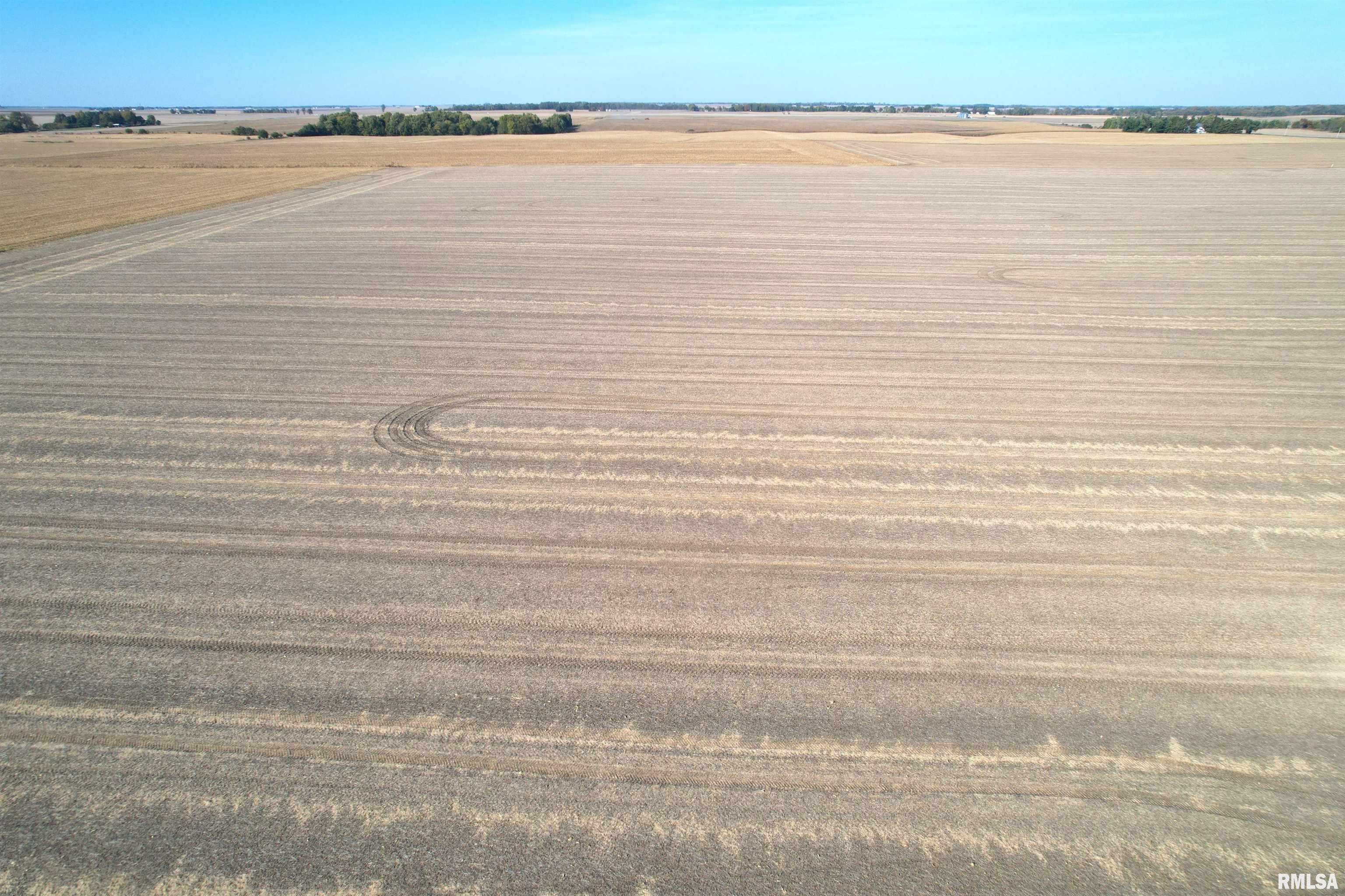 Old Homestead Road, Pleasant Plains, Illinois image 6