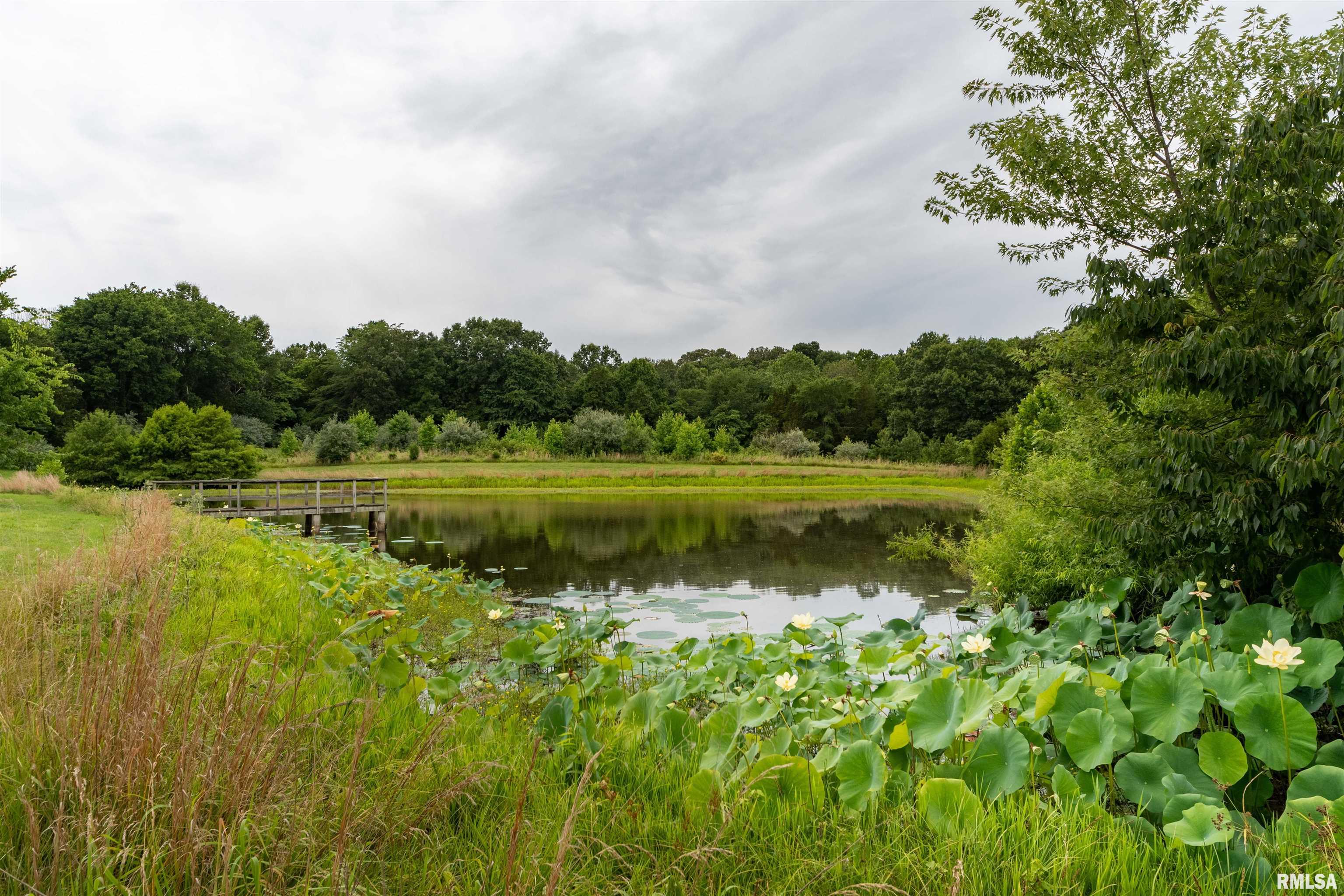 12440 Pebble Point Road, Marion, Illinois image 9