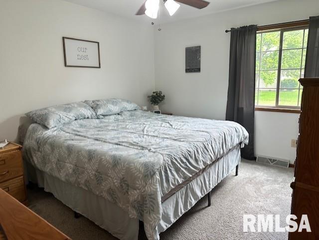11 Grand Avenue, Jacksonville, Illinois image 12