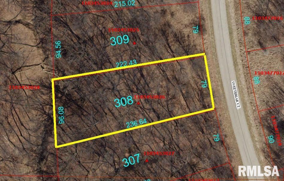 308 Sweetbriar Court, Dahinda, Illinois image 1