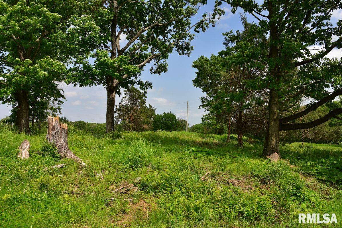 005 Battleford Road, Stonefort, Illinois image 13