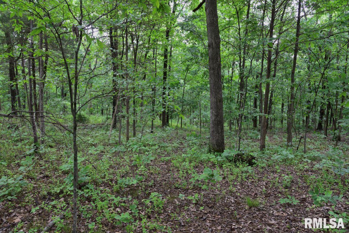005 Battleford Road, Stonefort, Illinois image 26