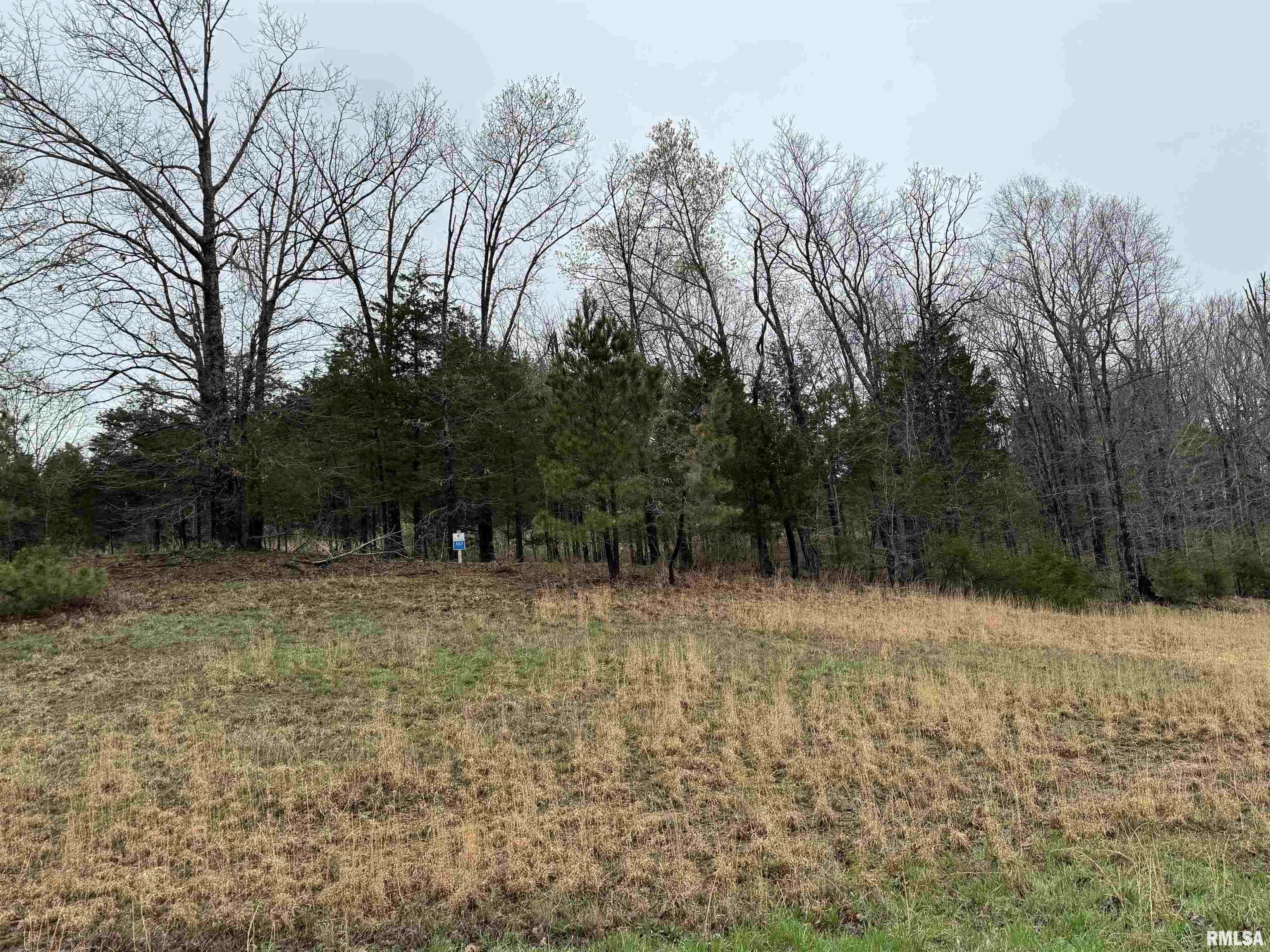 LOT 365&366 Clifty Lane, Goreville, Illinois image 1