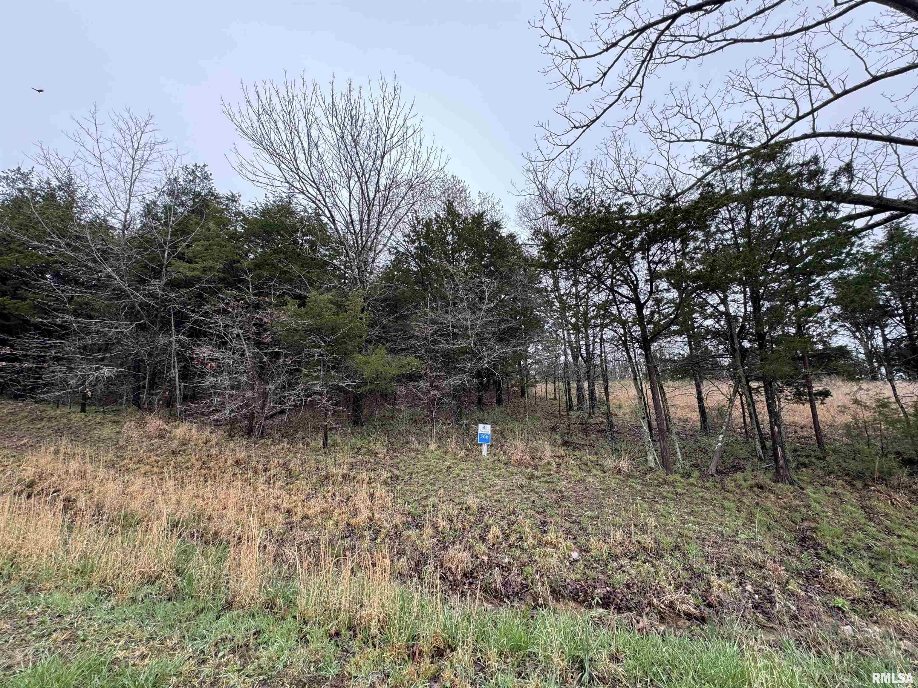 LOT 365&366 Clifty Lane, Goreville, Illinois image 4