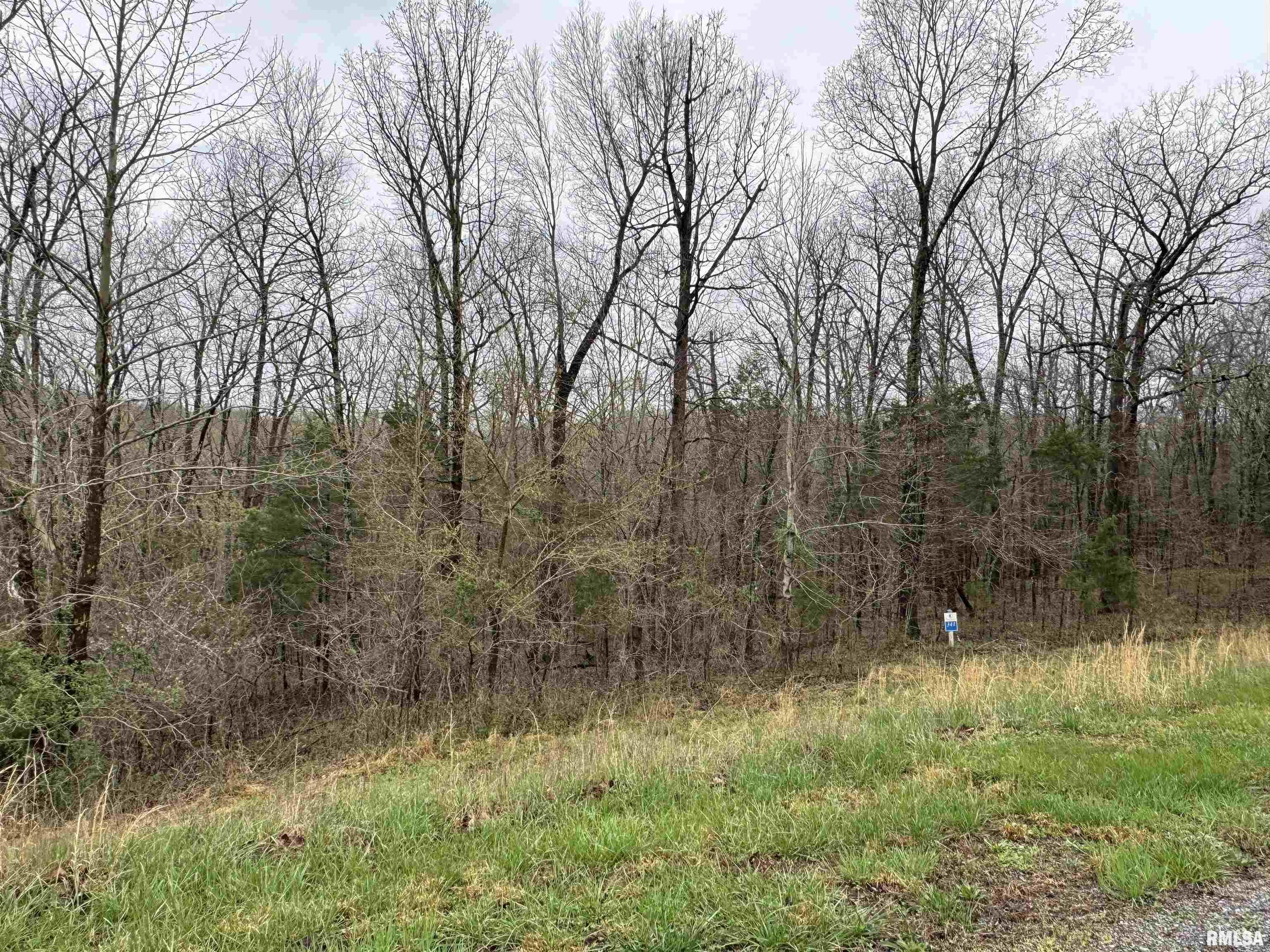 LOT 365&366 Clifty Lane, Goreville, Illinois image 3