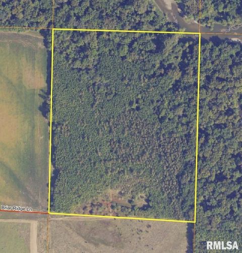 Vacant Land For Sale - Briar Ridge Lane<br/> Sangamon County, Rochester, IL 62653