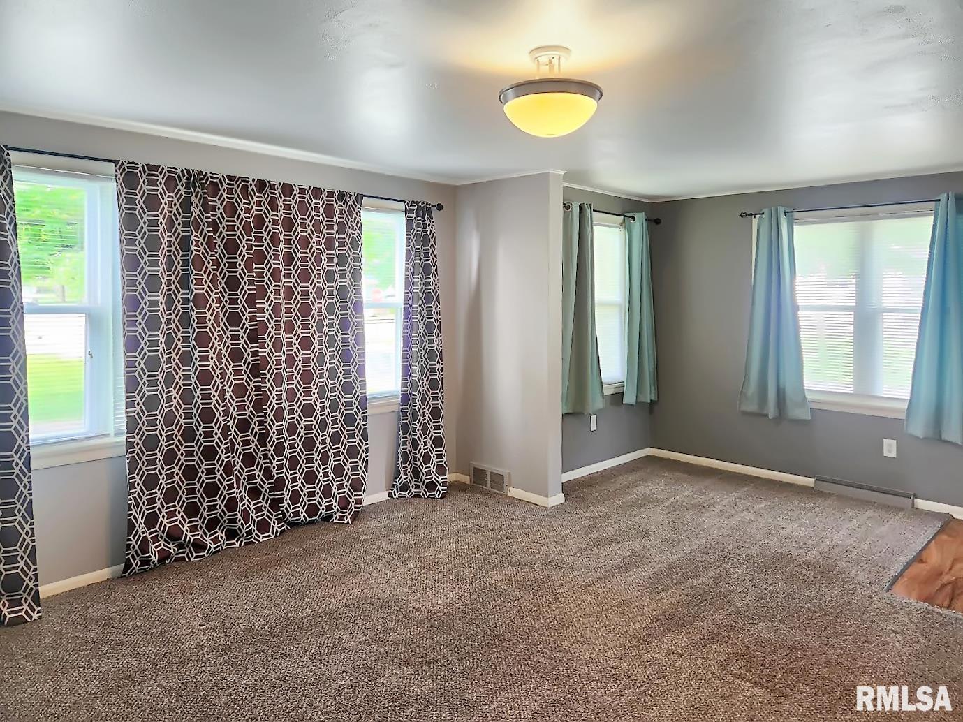 110 S Tremont Avenue, Princeville, Illinois image 4
