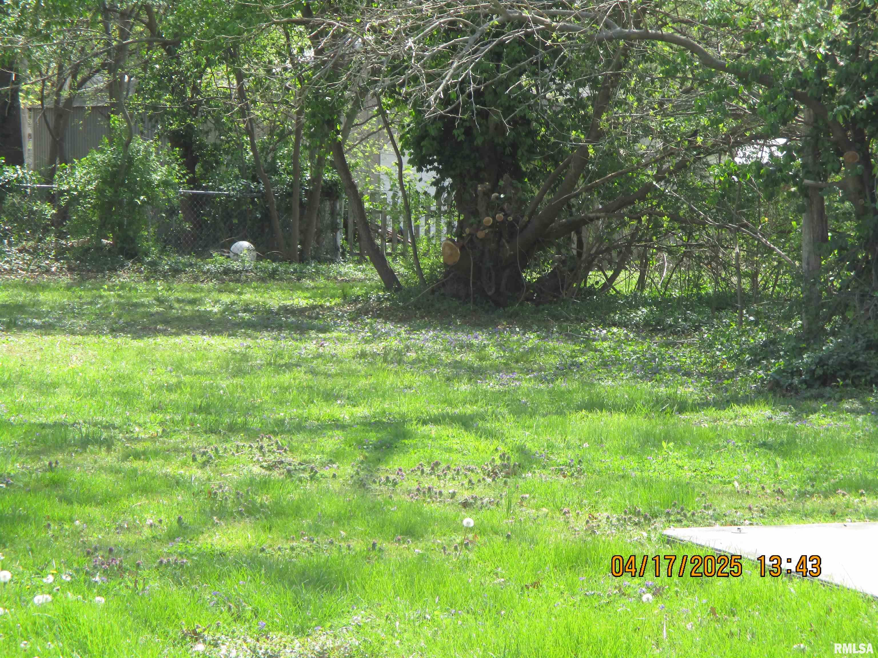 205 Texas Street, Carterville, Illinois image 16