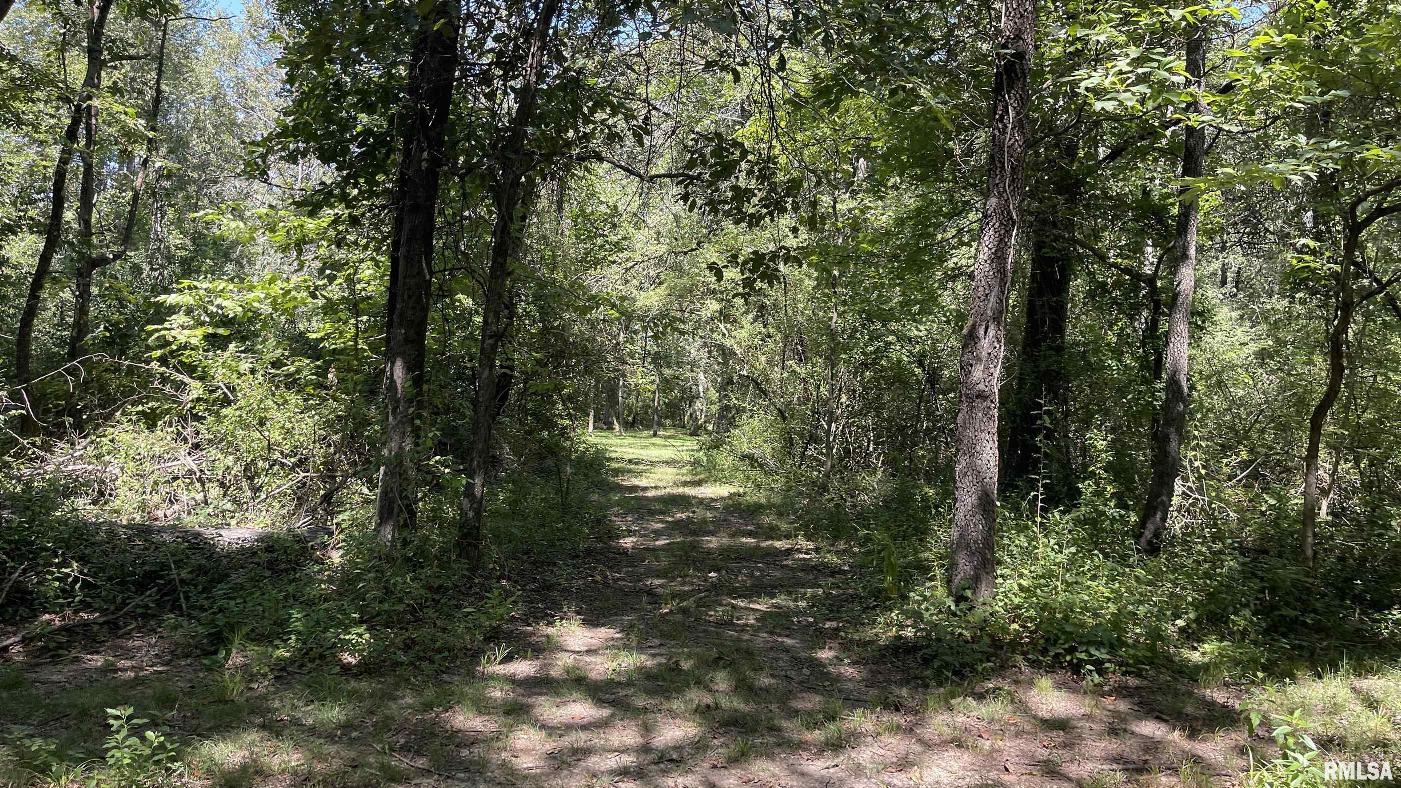 0000 County Line Road, Sparta, Illinois image 46