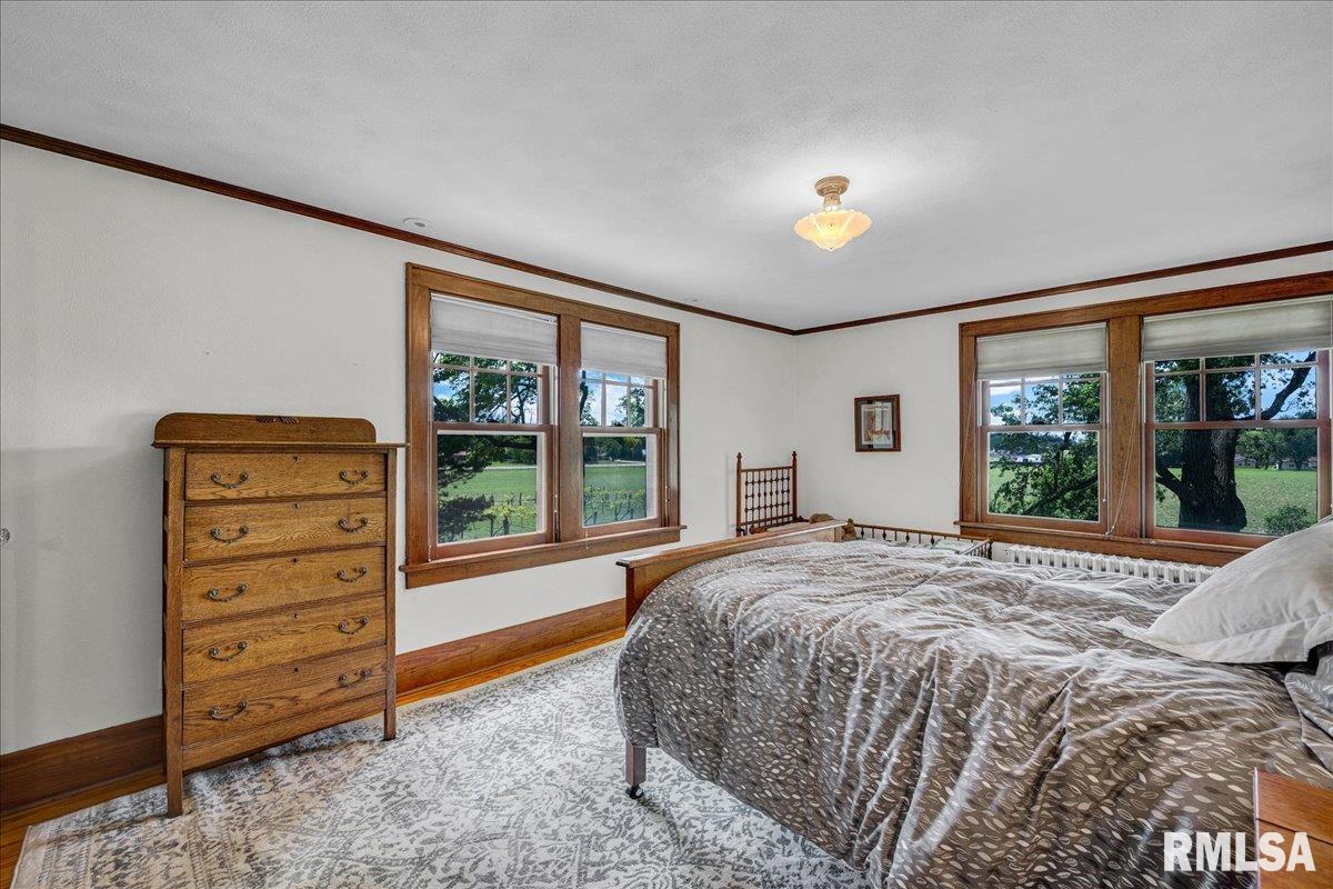 701 E Pearl Street, Tremont, Illinois image 34