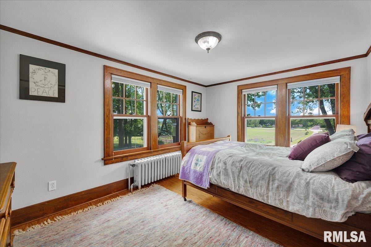 701 E Pearl Street, Tremont, Illinois image 36
