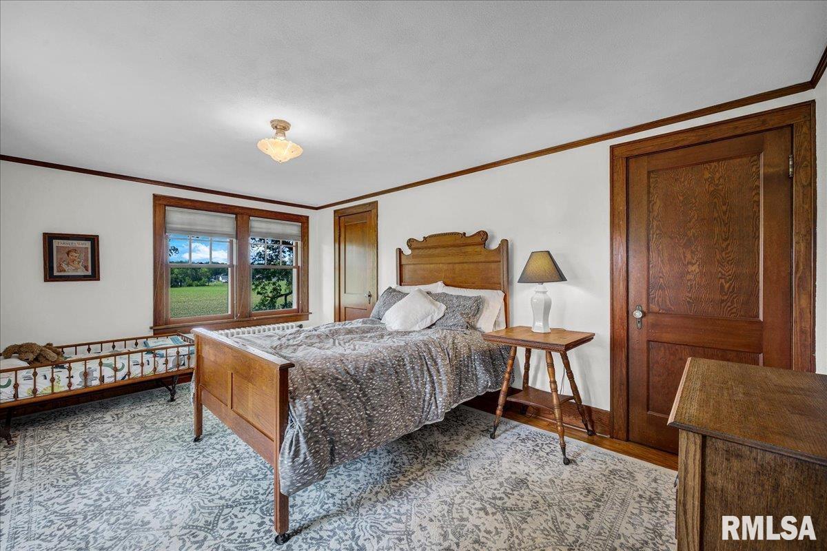 701 E Pearl Street, Tremont, Illinois image 35