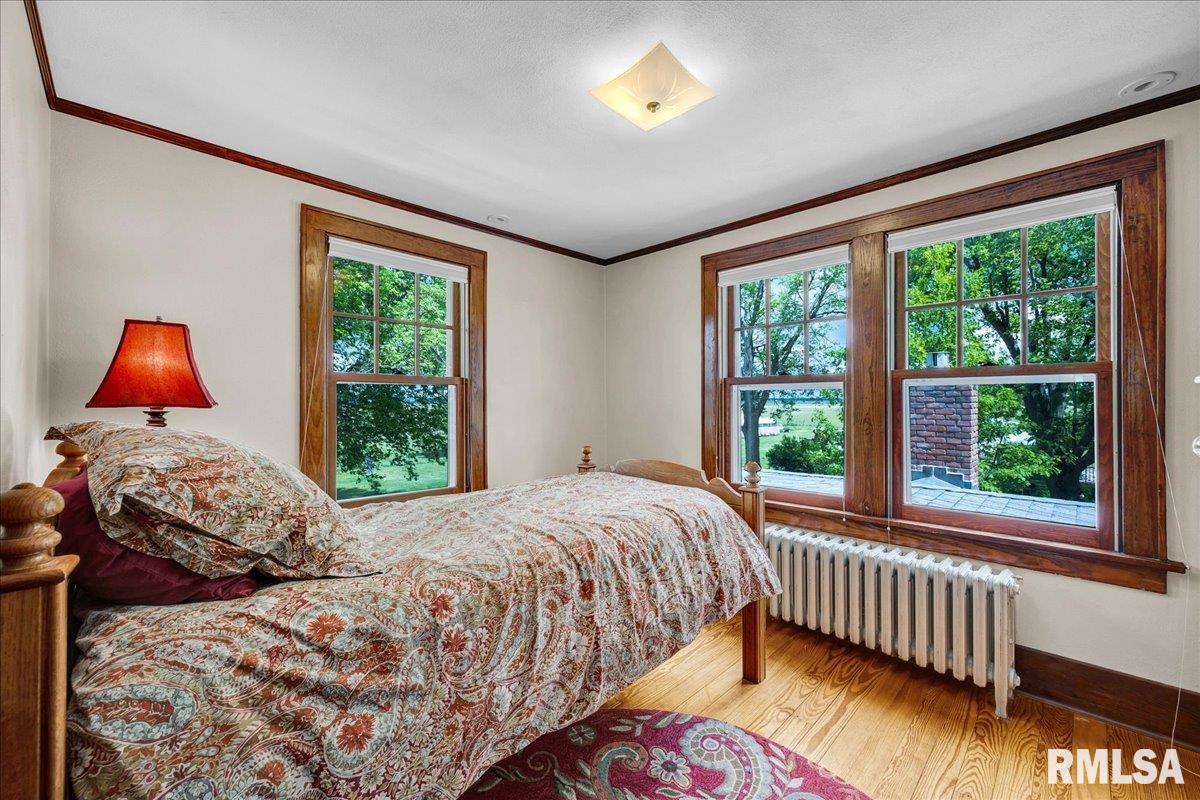 701 E Pearl Street, Tremont, Illinois image 37