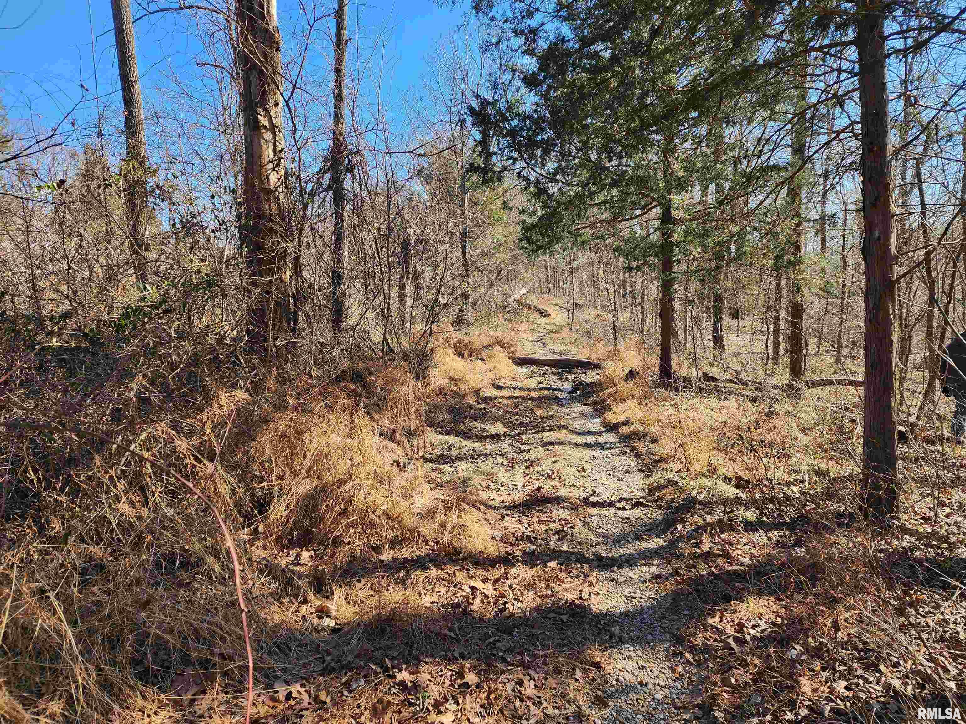 00 New Home Road, Stonefort, Illinois image 6