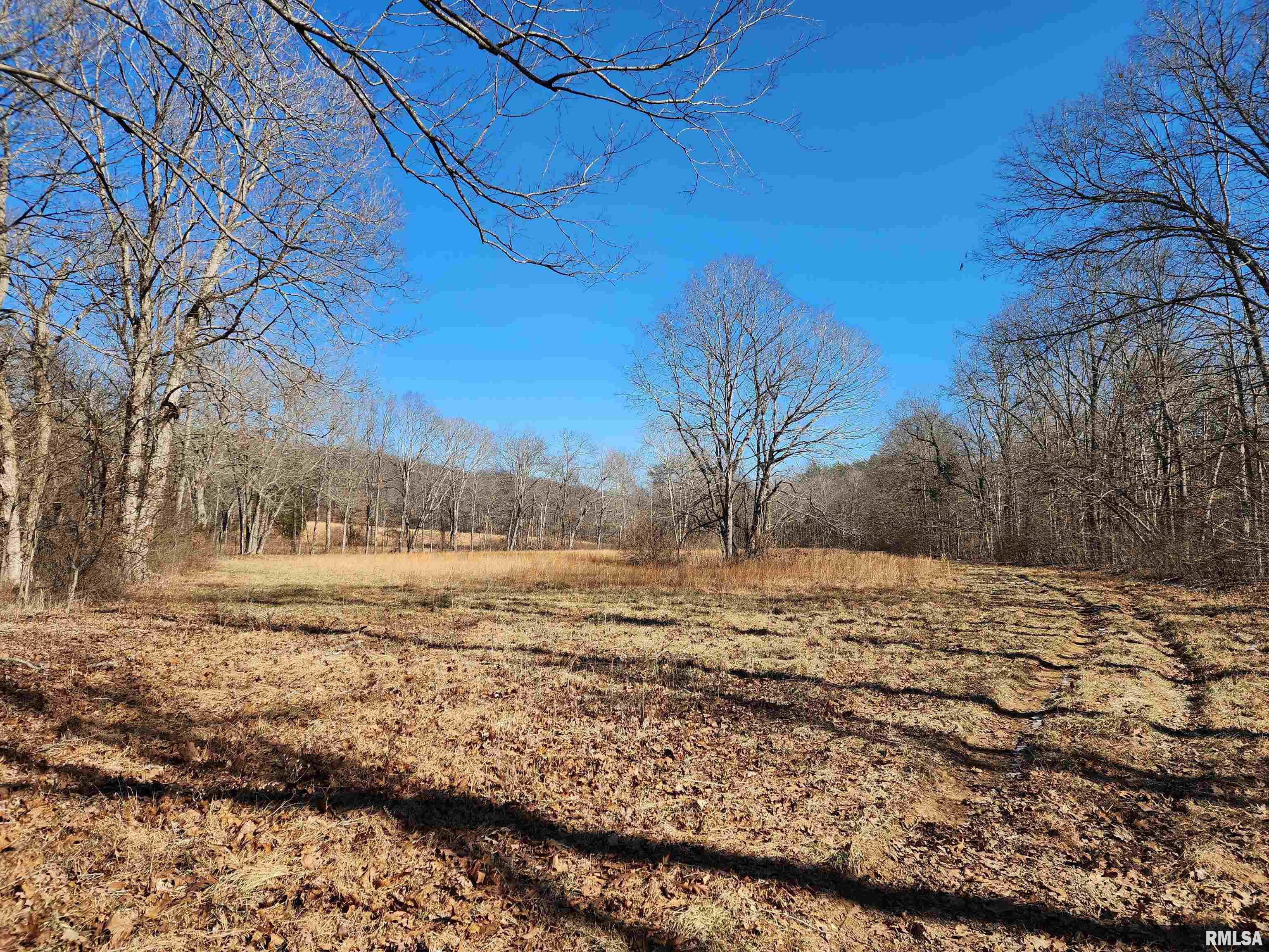 00 New Home Road, Stonefort, Illinois image 26