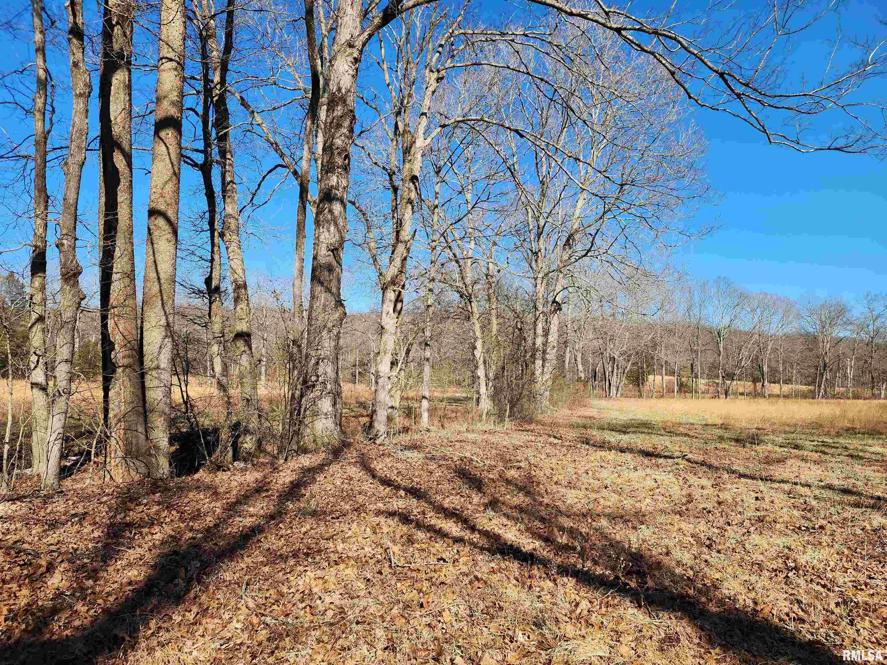 00 New Home Road, Stonefort, Illinois image 27