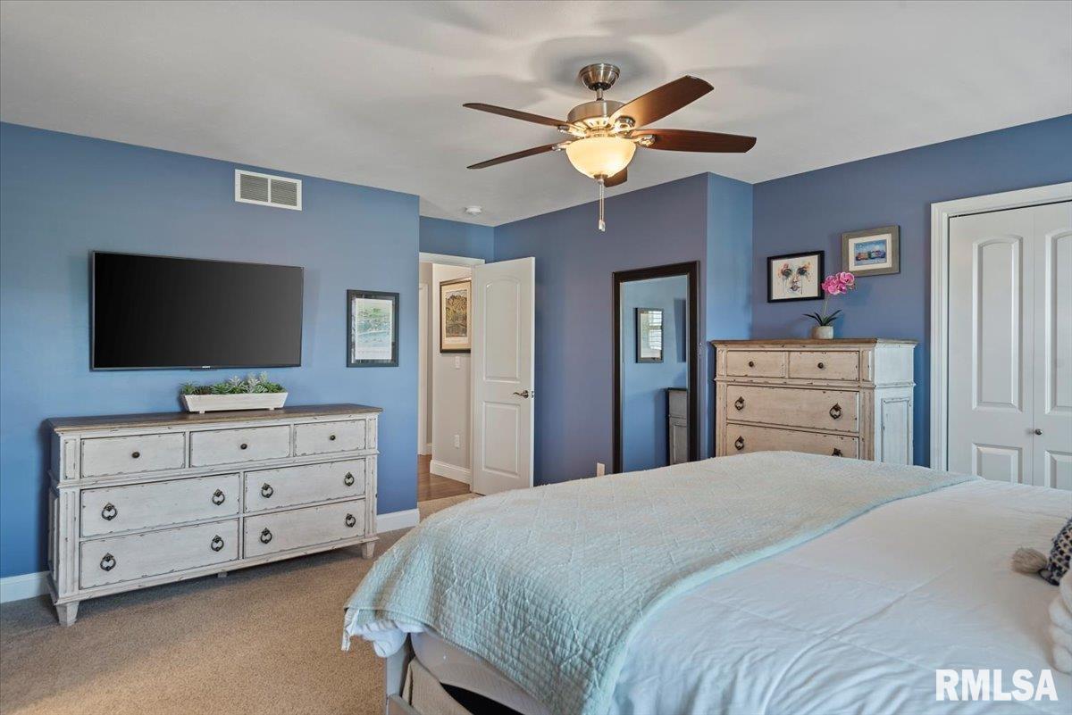 4806 Chestnut Drive, Springfield, Illinois image 15