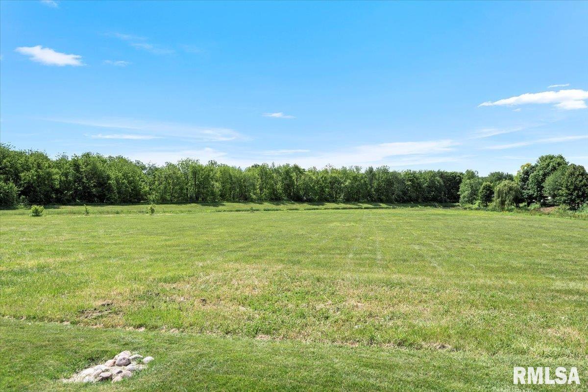 4806 Chestnut Drive, Springfield, Illinois image 35