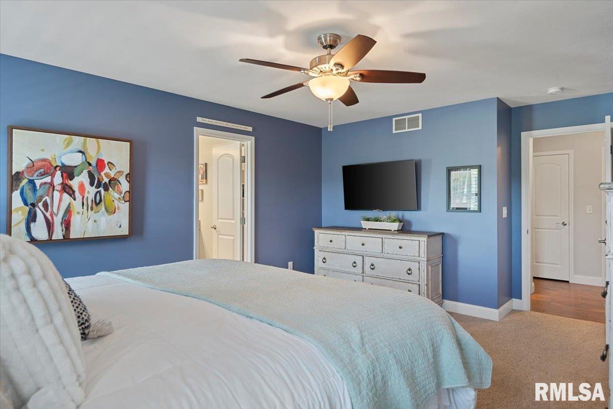 4806 Chestnut Drive, Springfield, Illinois image 14