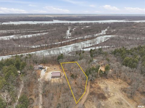 Vacant Land For Sale - 1352 Township Road<br/> Henderson County, Oquawka, IL 61469