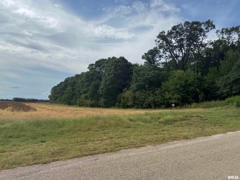Vacant Land For Sale - 14534 N County Road 2000 E Road<br/> Havana, IL 62644