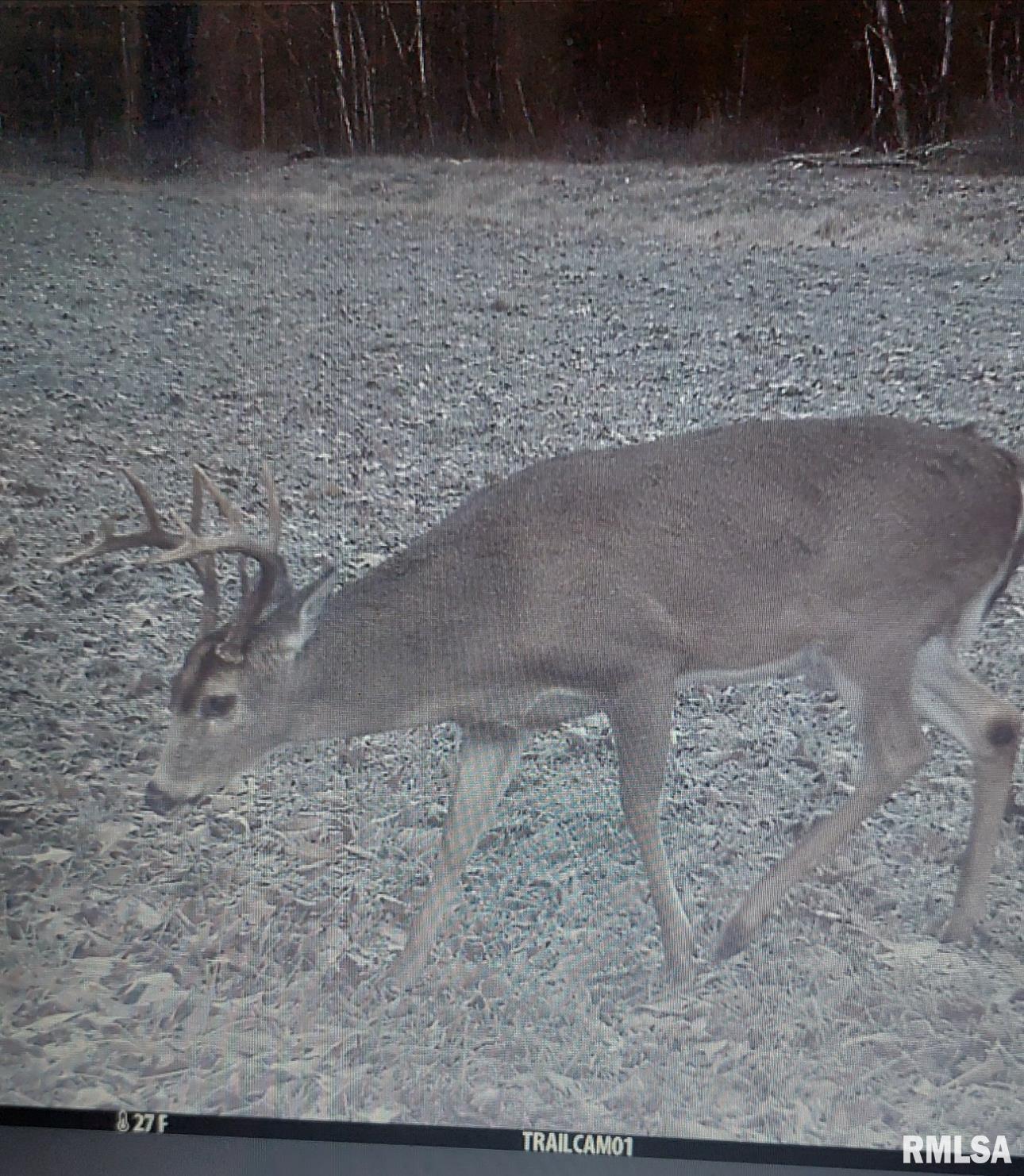 000 Shady Rest Road, Marion, Illinois image 10