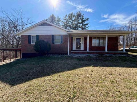 Homes For Sale - 298 Il Route 1 N<br/> Hardin County, Cave In Rock, IL 62919