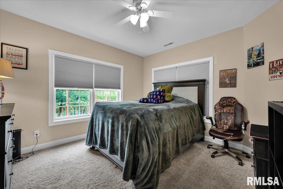 27 Oak Point Court, Dahinda, Illinois image 30