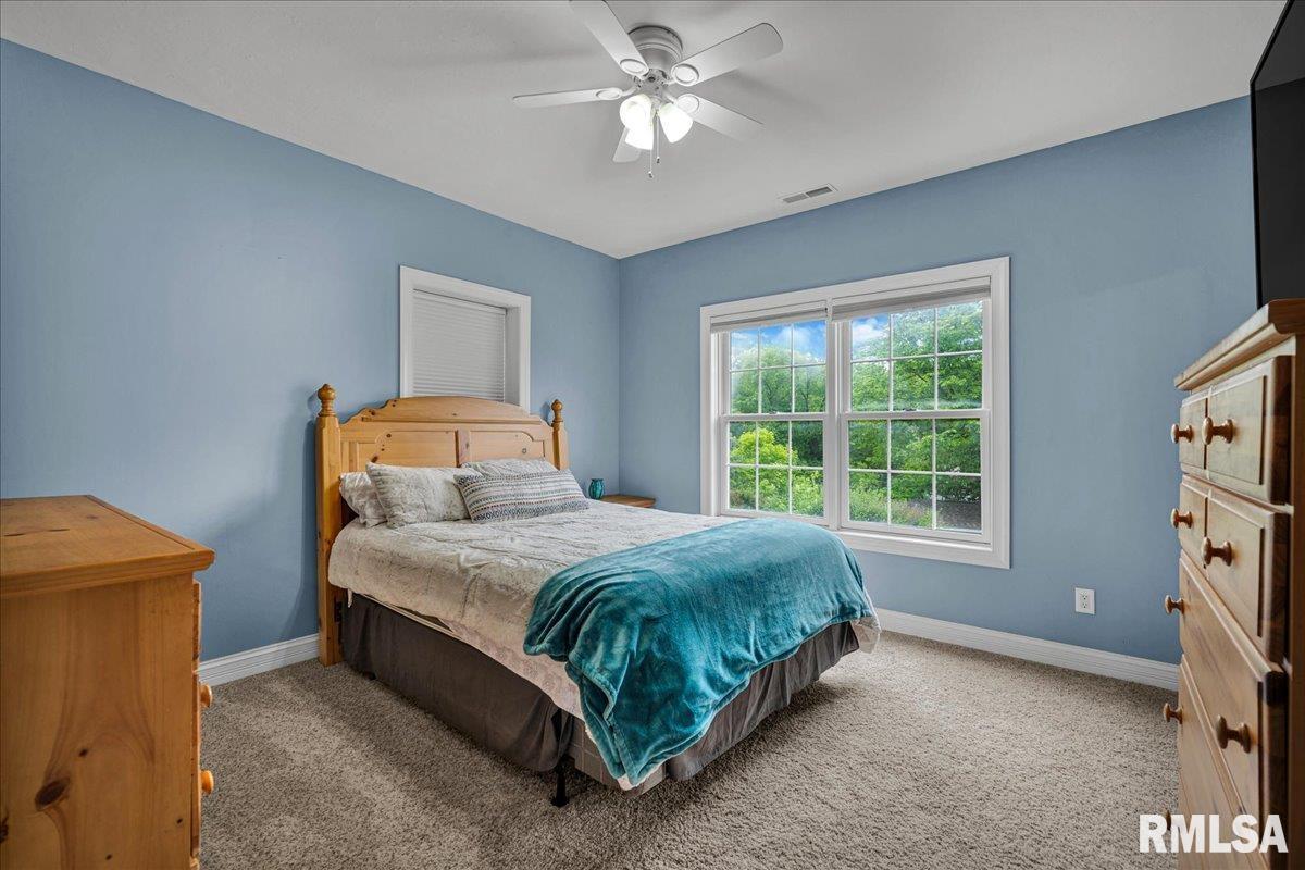 27 Oak Point Court, Dahinda, Illinois image 29
