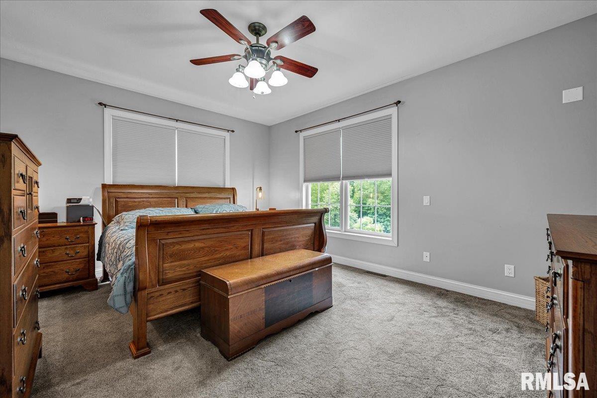 27 Oak Point Court, Dahinda, Illinois image 18