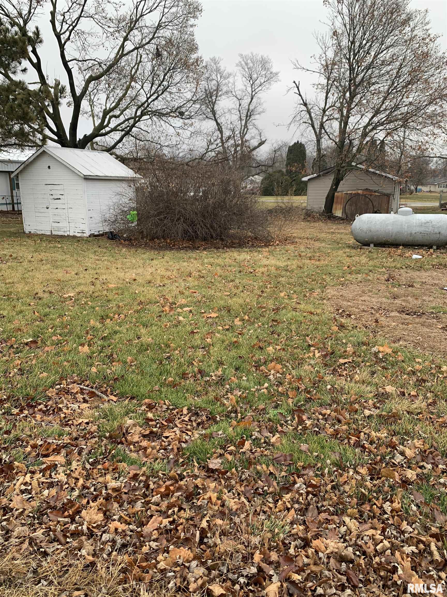 540 E Wells Street, Bushnell, Illinois image 7