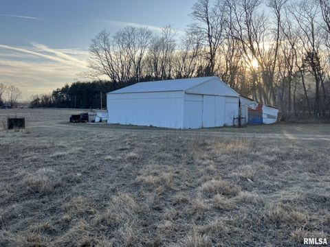 Vacant Land For Sale - SECTION 35 County Road<br/> Henderson County, Oquawka, IL 61469