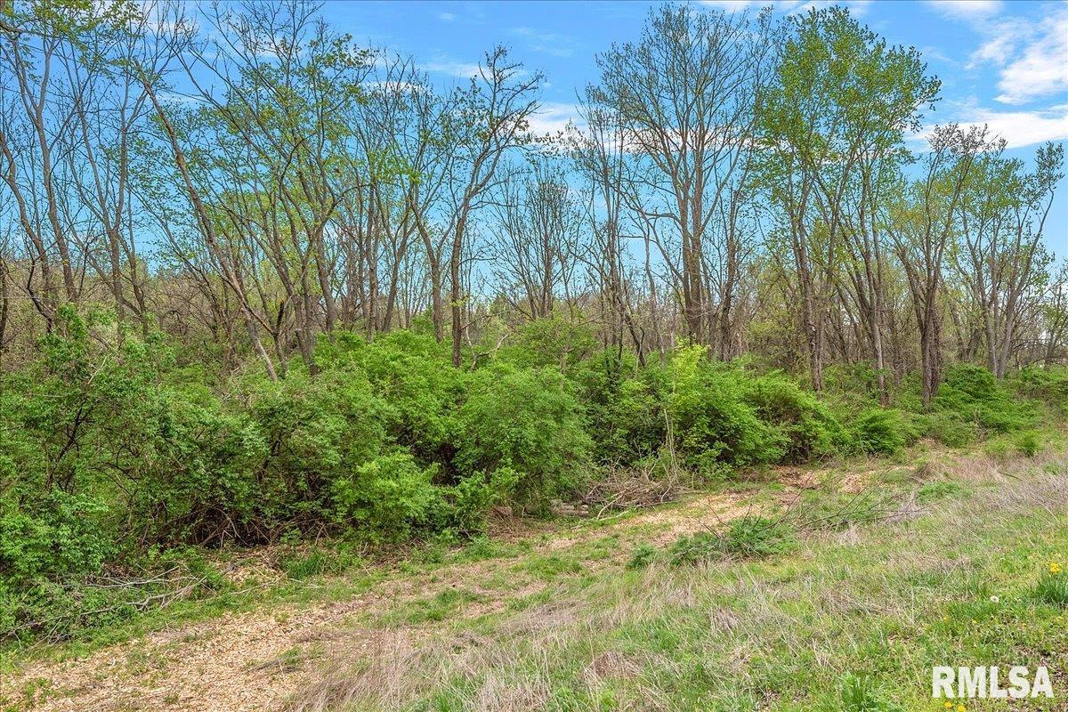 Bahr Road, Sherman, Illinois image 9