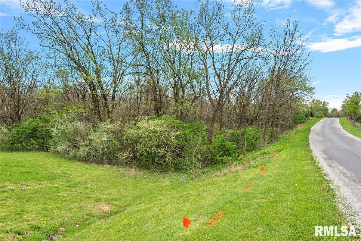 Bahr Road, Sherman, Illinois image 15